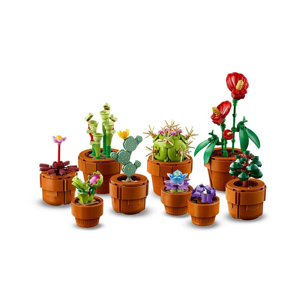 Saddle Brown LEGO 10329 Tiny Plants THE DREAM FACTORY 1_088ee5f0-5d79-424b-90bd-2099e8606ec6.webp Building Sets and Construction Toys