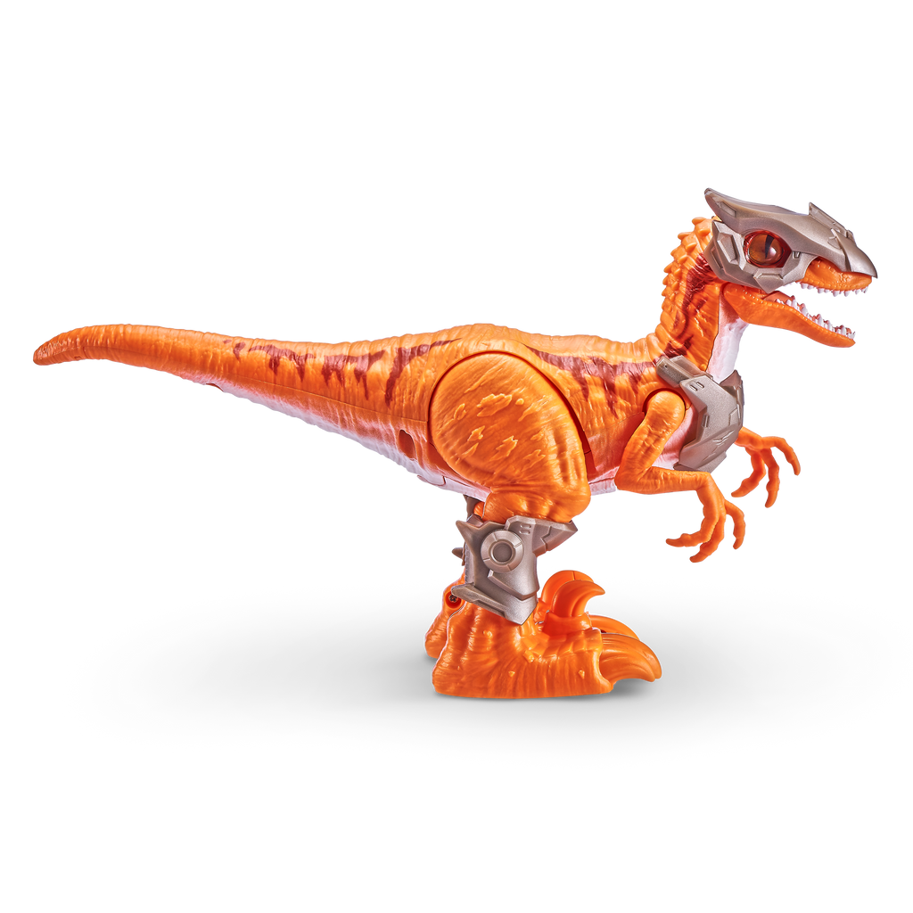 Chocolate Robo Alive Dino Wars Raptor Toy 7133 by ZURU Toyzoona 7133_ZURU_ROBO_ALIVE-DINO_WARS-SERIES_1_Raptor_08.png Action Toys