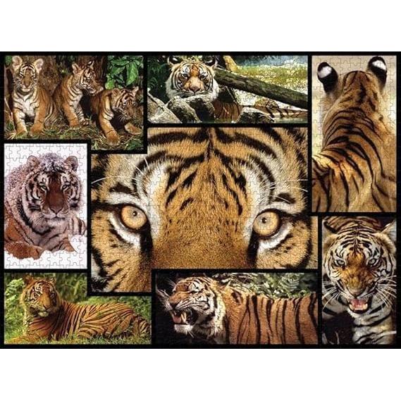 Dark Slate Gray WWF084 1000pcs Tigers Puzzle Nairobi Toys House K Limited 71g7f3FXMRL._AC_SX569.jpg Games and Puzzles