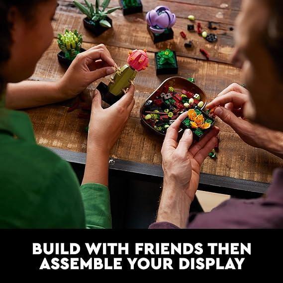 Black LEGO 10309 Succulents THE DREAM FACTORY 81vEVLqRLQL._AC_SX569.jpg Building and Construction