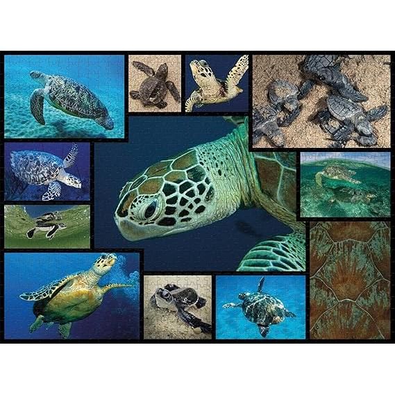 Dark Slate Gray WWF082 1000pcs Marine Turtles Puzzle Nairobi Toys House K Limited 91DiAD_eGRL._AC_SX569.jpg Games and Puzzles