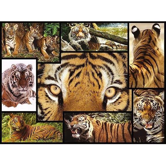 Dark Khaki WWF084 1000pcs Tigers Puzzle Nairobi Toys House K Limited 91cgttwPsIL._AC_SX569.jpg Games and Puzzles
