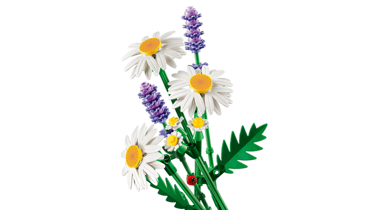 LEGO 11508 Daisies