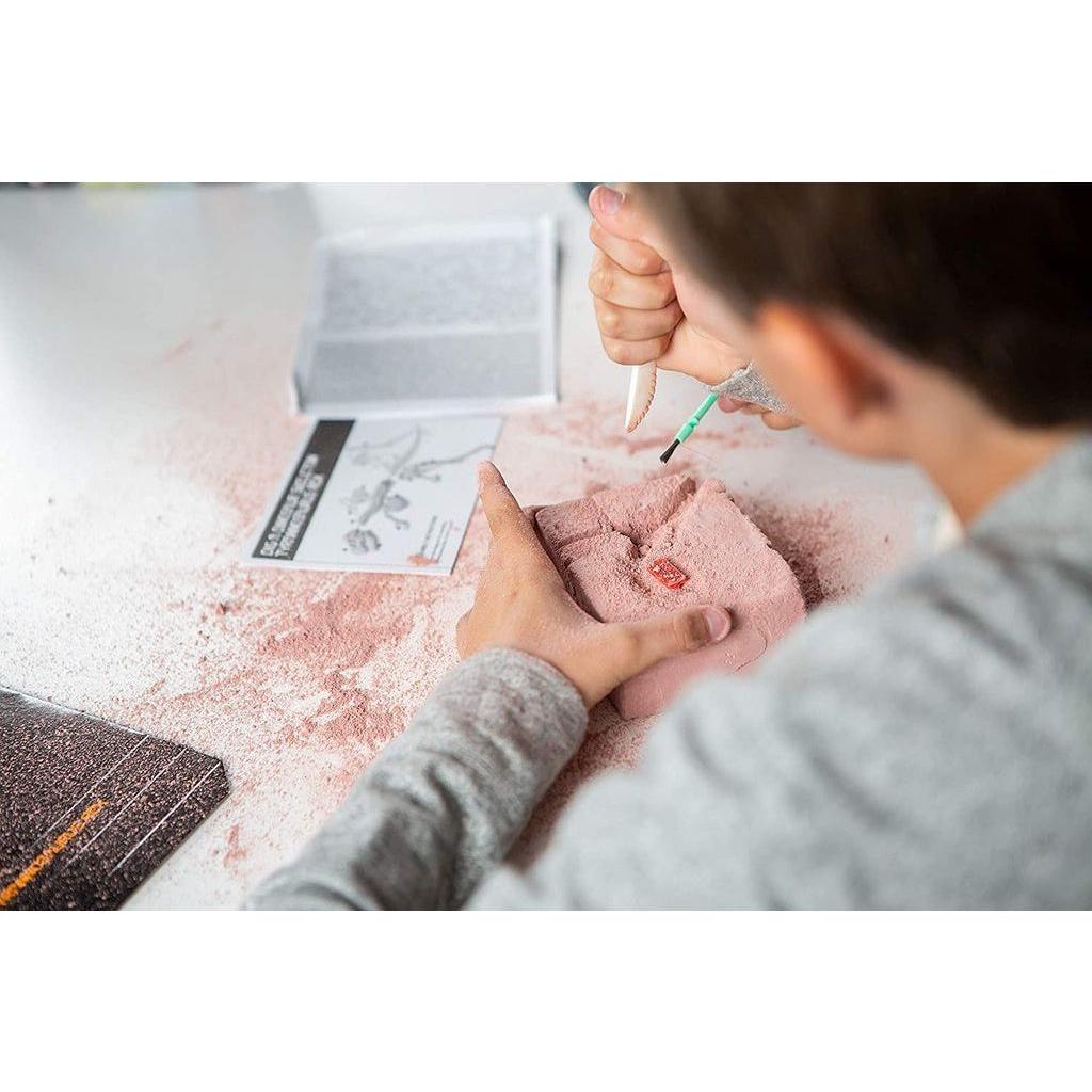 Gray 4M Kidz Labs Dig A T Rex Skeleton Toyzoona 4m-kidz-labs-dig-a-t-rex-skeleton-toyzoona-2.jpg