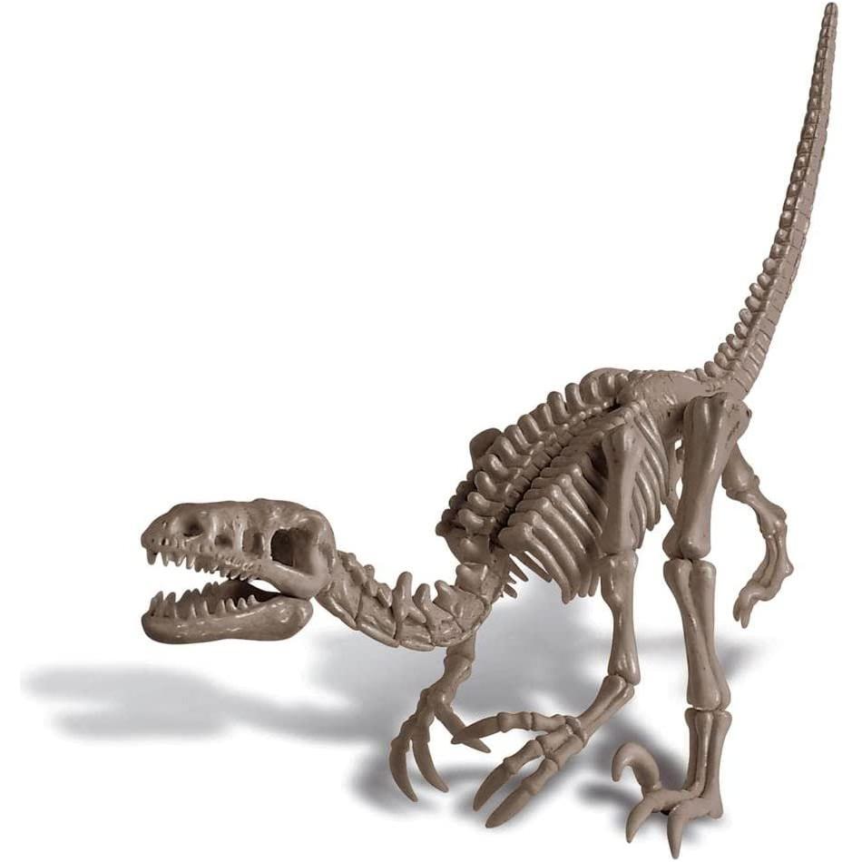 Slate Gray 4M Kidz Labs Dig A Velociraptor Toyzoona 4m-kidz-labs-dig-a-velociraptor-toyzoona-4.jpg