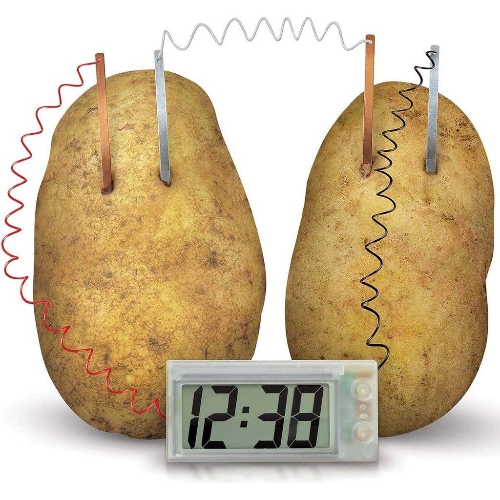 Dark Khaki 4M Potato Clock 3275 – Power from the Pantry Toyzoona 4m-potato-clock-3275-toyzoona-2.jpg Educational