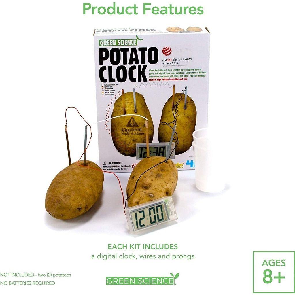 Light Gray 4M Potato Clock 3275 – Power from the Pantry Toyzoona 4m-potato-clock-3275-toyzoona-6.jpg Educational